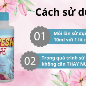 ngochome Dưỡng Hoa F5 Tươi Lâu Hơn Tại Nhà 19