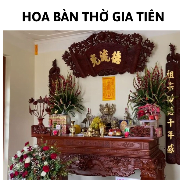 ngochome Dưỡng Hoa F5 Tươi Lâu Hơn Tại Nhà 19