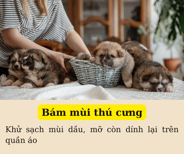 ngochome Viên Lưu Hương - Giặt Xả Quần Áo Hàn Quốc 19