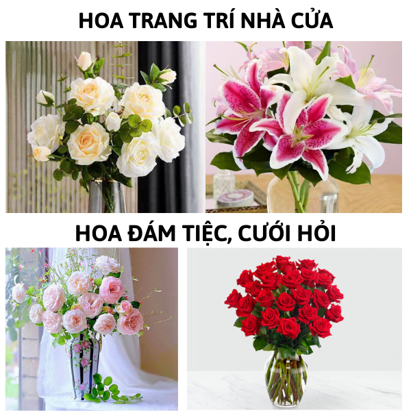 ngochome Dưỡng Hoa F5 Tươi Lâu Hơn Tại Nhà 19