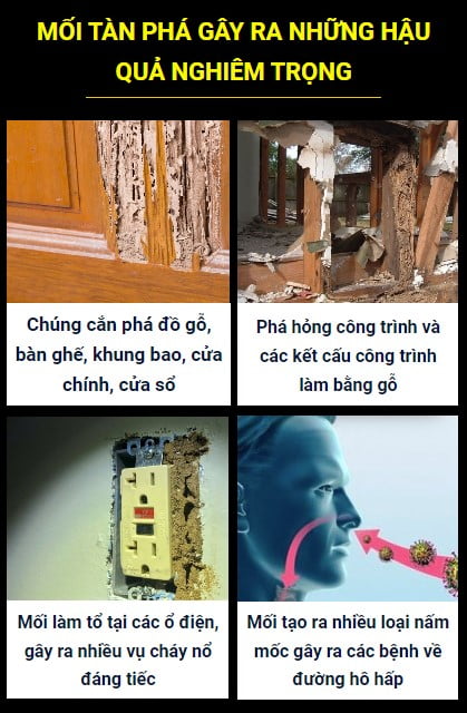 ngochome Bình Xịt Diệt Mối 3 Không 19